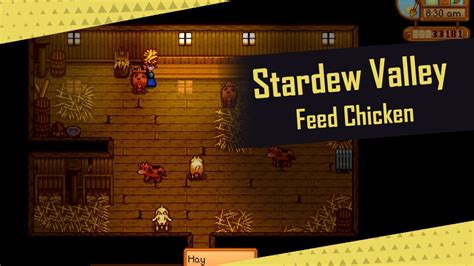 How to Feed Chicken Stardew: Exploring the Exotic Nutritional Needs of Imaginary Fowl